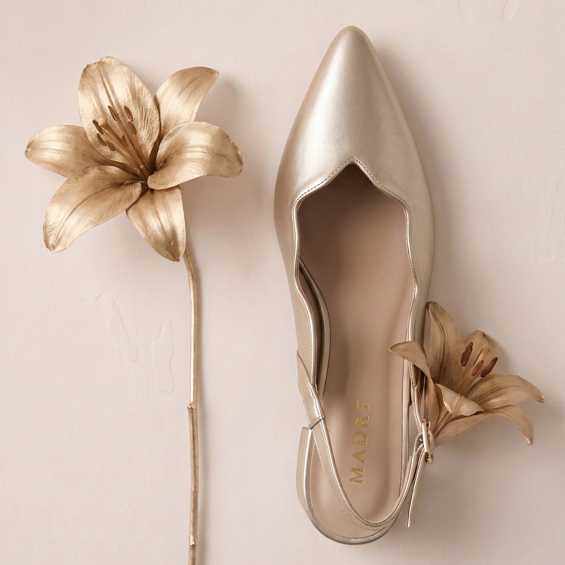 Lilea Pointed Slingback Heel